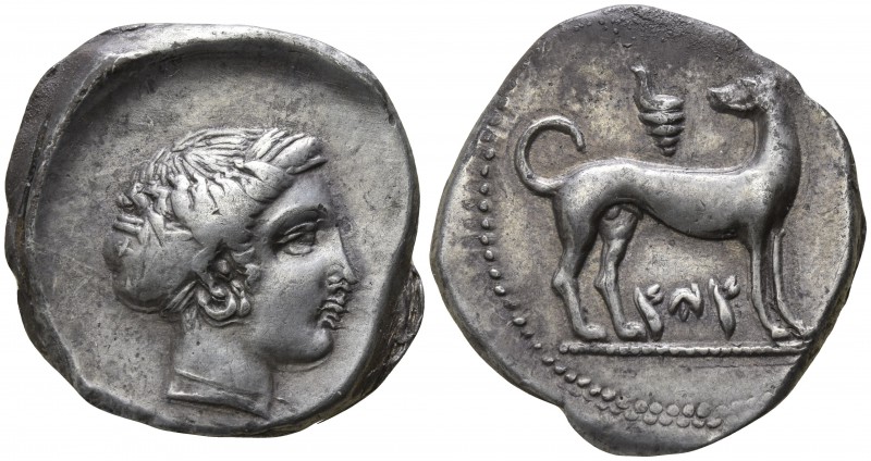 Sicily. Panormus circa 410-390 BC.
Didrachm AR

24mm., 8,41g.

Hunting dog ...