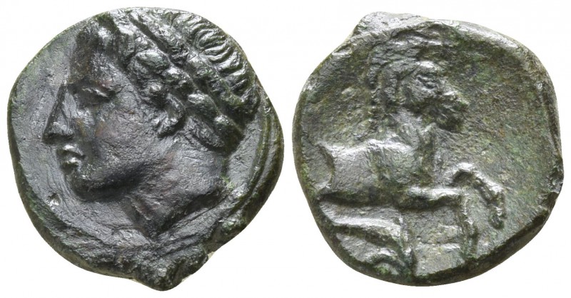 Sicily. Panormus circa 336-330 BC.
Bronze Æ

12mm., 1,53g.

Laureate head o...