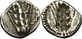 Southern Lucania, Metapontum. AR Obol, c. 540-510 BC