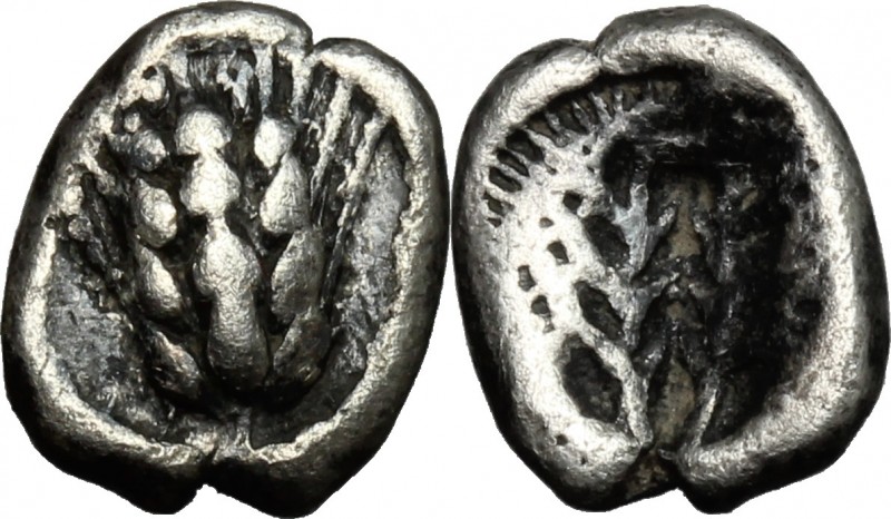 Greek Italy. Southern Lucania, Metapontum. AR Obol, c. 470-440 BC. D/ Ear of bar...