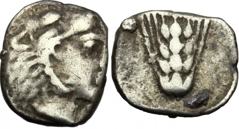 Greek Italy. Southern Lucania, Metapontum. AR Obol, c. 430-400 BC. D/ Head of He...