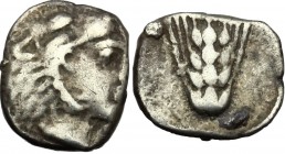 Southern Lucania, Metapontum. AR Obol, c. 430-400 BC