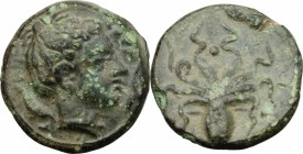 Syracuse.  Second Democracy (466-405 BC).. AE Tetras