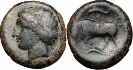 Syracuse.  Agathokles (317-289 BC).. AE Hemilitron