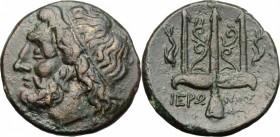 Syracuse.  Fifth Democracy (214-212 BC).. AE 19 mm