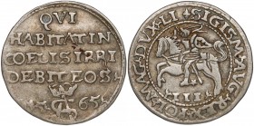 Zygmunt II August, Trojak Tykocin 1565 - Szyderczy - ładny RR