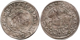 Zygmunt II August, Grosz na stopę litewską 1545 - RZADKOŚĆ R8