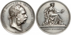 Austria, Medal BENE MERENTI 1873 - dla POLAKA
