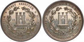 Medal Wystawa przemysłowa w Pleszewie, Cześć Zasłudze 1884 RRR