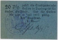 Gostyn (Gostyń), 20 pfg w.d. 01.07.1917
