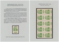 Wydział Narodowy Polski - 1 dolar 1918 - nominał w kolorze czarnym (1, 10x1)