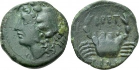 BRUTTIUM. The Brettii. Ae (Circa 216-214 BC).