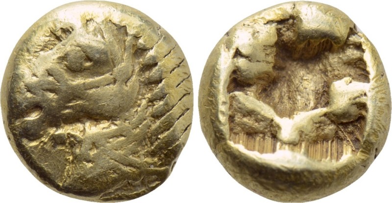 IONIA. Uncertain mint. EL 1/12 Stater (Circa 600-550 BC). 

Obv: Bridled head ...