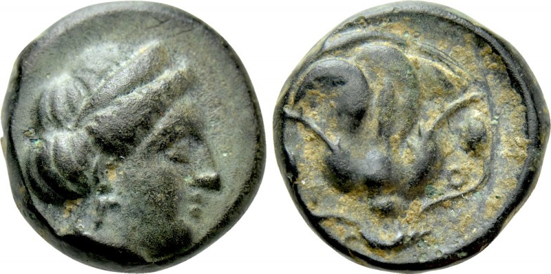 CARIA. Rhodes. Ae (Circa 404-385 BC). 

Obv: Head of the nymph Rhodos right.
...