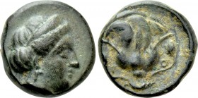 CARIA. Rhodes. Ae (Circa 404-385 BC).