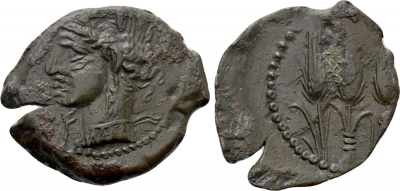 ZEUGITANIA. Carthage. Ae (Circa 241-238 BC). Sardinian mint. 

Obv: Wreathed h...