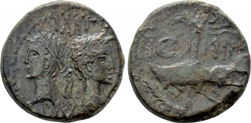 GAUL. Nemausus. Augustus, with Agrippa (27 BC-14 AD). Ae As. 

Obv: IMP / DIVI...