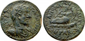 PISIDIA. Apollonia-Mordiaeum. Gallienus (253-268). Ae.