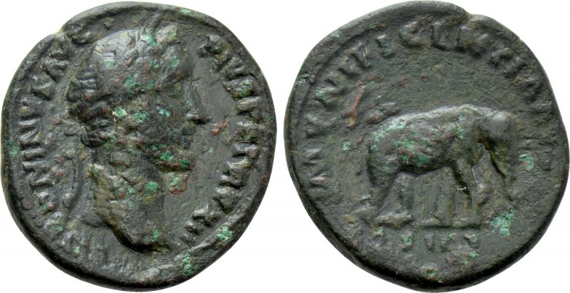 ANTONINUS PIUS (138-161). As. Rome. 

Obv: ANTONINVS AVG PIVS TR P XII. 
Laur...
