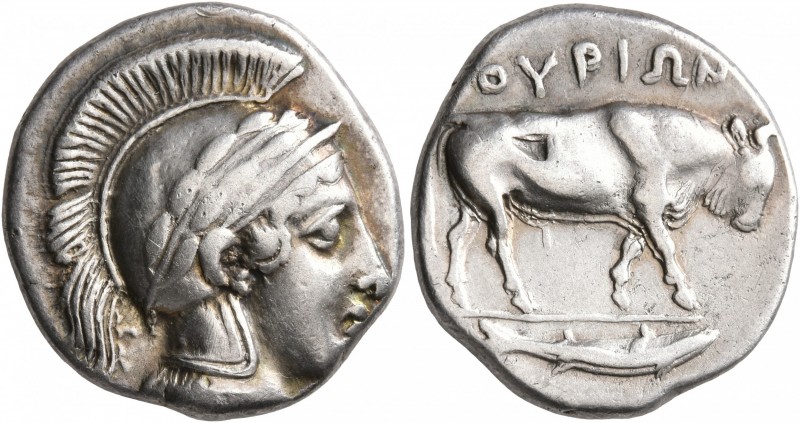 LUCANIA. Thourioi. Circa 443-400 BC. Didrachm or Nomos (Silver, 21 mm, 7.82 g, 1...