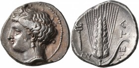LUCANIA. Metapontion. Circa 340-330 BC. Didrachm or Nomos (Silver, 22 mm, 7.88 g, 7 h). Head of Demeter to left, wearing wreath of grain ears, pendant...