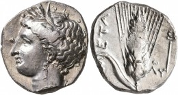 LUCANIA. Metapontion. Circa 340-330 BC. Didrachm or Nomos (Silver, 22 mm, 7.88 g, 1 h). Head of Demeter to left, wearing wreath of grain ears, pendant...
