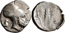 LUCANIA. Metapontion. Circa 340-330 BC. Distater (Silver, 28 mm, 15.59 g, 7 h). Bearded head of Leukippos to right, wearing Corinthian helmet decorate...