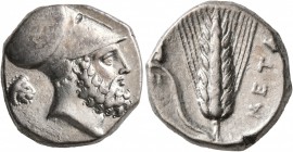 LUCANIA. Metapontion. Circa 340-330 BC. Didrachm or Nomos (Silver, 19 mm, 7.85 g, 5 h). Bearded head of Leukippos to right, wearing Corinthian helmet;...