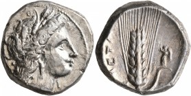 LUCANIA. Metapontion. Circa 330-290 BC. Didrachm or Nomos (Silver, 20 mm, 7.89 g, 1 h). Head of Demeter to right, wearing wreath of grain ears, triple...