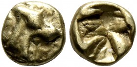 IONIA. Uncertain. Circa 600-550 BC. 1/48 Stater (Electrum, 5 mm, 0.31 g), Lydo-Milesian standard. Head of a roaring lion to right. Rev. Rough incuse s...