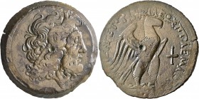 PTOLEMAIC KINGS OF EGYPT. Ptolemy VIII Euergetes II (Physcon), as King in Kyrene, 163-145 BC. Hemidrachm (Bronze, 43 mm, 42.72 g, 12 h), Kyrene. Diade...