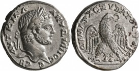 PHOENICIA. Ace-Ptolemais. Caracalla, 198-217. Tetradrachm (Silver, 26 mm, 14.47 g, 12 h), 215-217. ΑΥΤ•Κ•Μ•Α•ΑΝΤΩΝΙΝΟC CЄB Laureate head of Caracalla ...