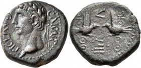 PHOENICIA. Berytus. Claudius, 41-54. Assarion (Bronze, 20 mm, 8.43 g, 1 h). TI CLAVD CAISAR (sic!) Laureate head of Claudius to left. Rev. V-VIII down...