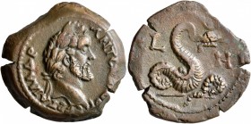 EGYPT. Alexandria. Antoninus Pius, 138-161. Diobol (Bronze, 24 mm, 8.00 g, 12 h), RY 8 = 144/5. AYΤ Κ Τ ΑΙΛ ΑΔΡ ΑΝΤωΝΙΝΟϹ ϹЄB Laureate head of Antonin...