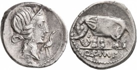 Q. Caecilius Metellus Pius, 81 BC. Denarius (Silver, 18 mm, 3.92 g, 1 h), Rome. Diademed head of Pietas to right; before, stork. Rev. Q•C•M•P•I Elepha...