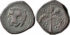 ITALY. Sicilia (Regno). Guglielmo II il Buono (the Good), 1166-1189. Follaro (Bronze, 23 mm, 10.24 g, 11 h), Messina. Head of a lion facing slightly t...