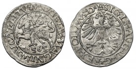 Zygmunt II August, Półgrosz Wilno 1565