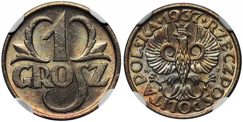 1 grosz 1937 - NGC MS65 BN
 Dla tego rocznika, kolor brązowy jest rzadziej noto...