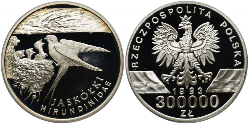 Jaskółki, 300.000 złotych 1993
 Ryski na rewersie. Patyna. Nakład 20.000 sztuk....