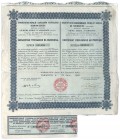 Świadectwo Tymczasowe, Towarzystwo Kopalń i Zakładów Hutniczych SOSNOWICKICH S.A. w Warszawie 1930