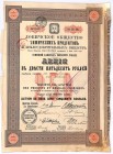 Łowickie Zakłady Produktów Chemicznych, 250 rubli 1896