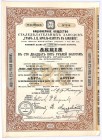 Akcyjne Towarzystwo Fabryki Stali Hrabia L.Broel - Plater w Bliżynie, 250 rubli 1898
