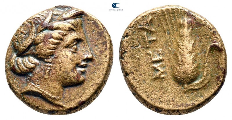 Lucania. Metapontion circa 330-250 BC. 
Bronze Æ

14 mm., 2,56 g.



very...