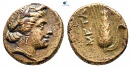 Lucania. Metapontion circa 330-250 BC. Bronze Æ