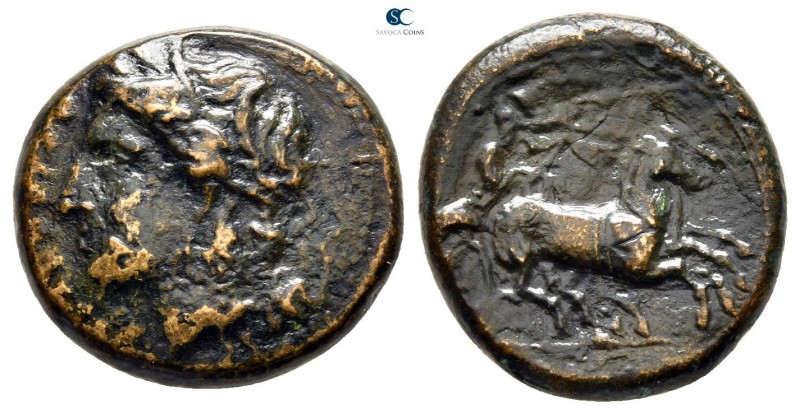 Sicily. Syracuse 287-283 BC. 
Bronze Æ

19 mm., 6,33 g.



very fine