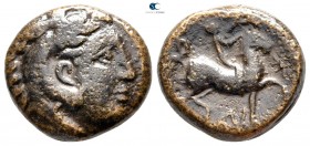 Kings of Macedon. Uncertain mint in Macedon. Antigonos I Monophthalmos 320-301 BC. Bronze Æ