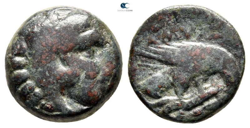 Kings of Macedon. Uncertain mint in Macedon. Amyntas III 393-369 BC. 
Bronze Æ...