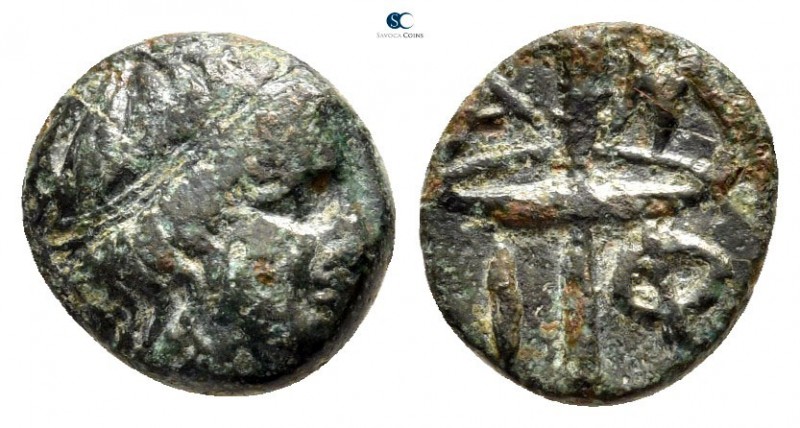 Macedon. Amphipolis 355-353 BC. 
Bronze Æ

11 mm., 1,35 g.



very fine