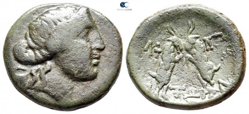 Macedon. Amphipolis 148-32 BC. 
Bronze Æ

23 mm., 7,23 g.



very fine