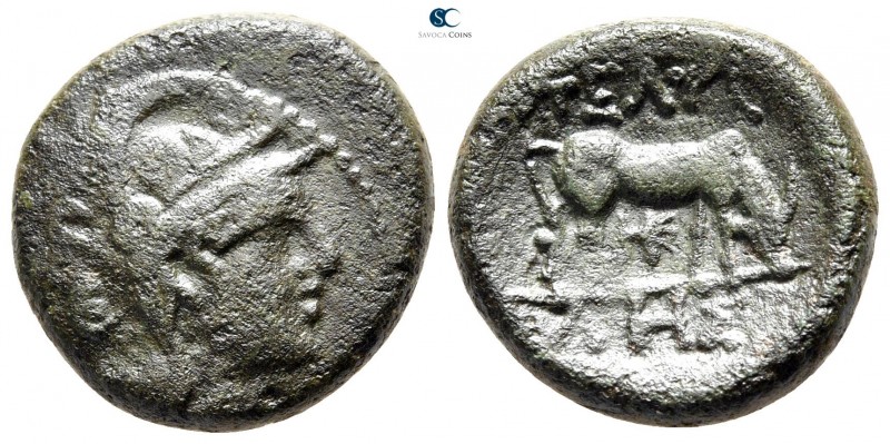 Macedon. Pella 187-31 BC. 
Bronze Æ

19 mm., 5,96 g.



very fine
